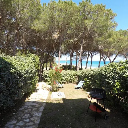 La Corte Degli Ulivi Casa vacanze
